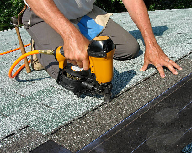 Professional Roofing Contractor in Palm River Clair Mel, FL